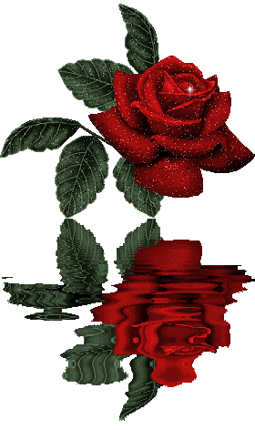Pour vous mes ami(e)s
